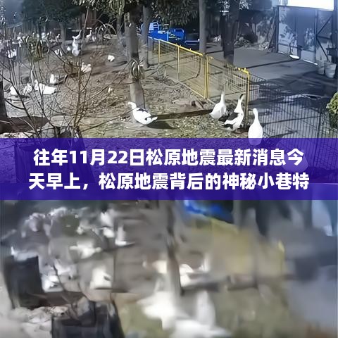 松原地震最新動態(tài)與神秘小巷特色小店探秘之旅