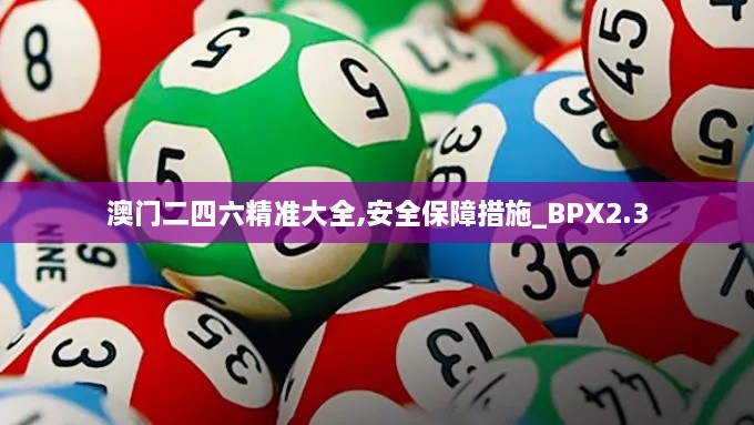 澳門二四六精準(zhǔn)大全,安全保障措施_BPX2.3