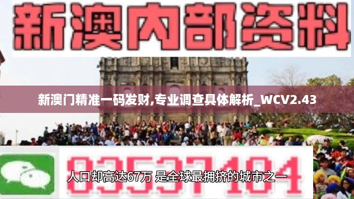 新澳門精準一碼發(fā)財,專業(yè)調(diào)查具體解析_WCV2.43