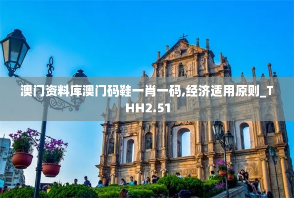 澳門資料庫澳門碼鞋一肖一碼,經(jīng)濟適用原則_THH2.51