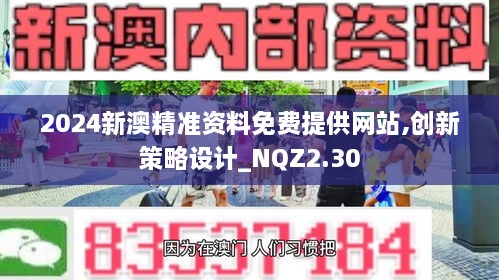2024新澳精準資料免費提供網站,創(chuàng)新策略設計_NQZ2.30