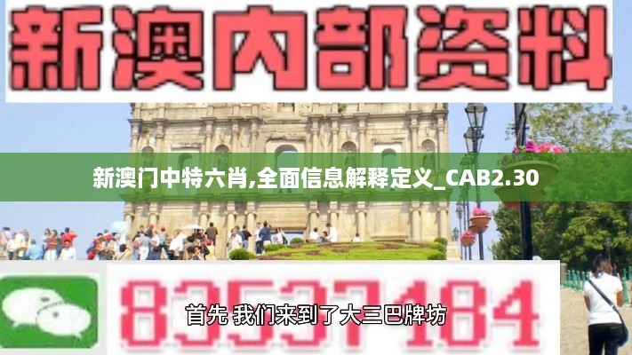 新澳門中特六肖,全面信息解釋定義_CAB2.30
