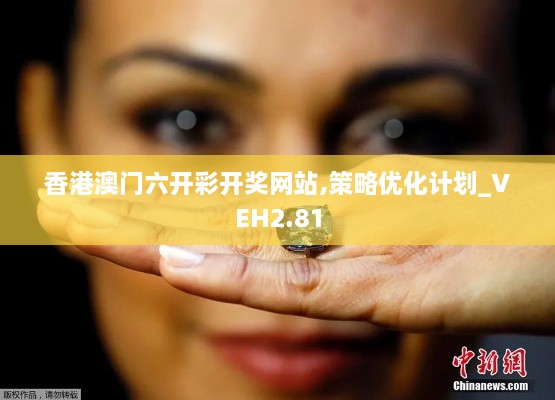 香港澳門六開彩開獎網(wǎng)站,策略優(yōu)化計劃_VEH2.81