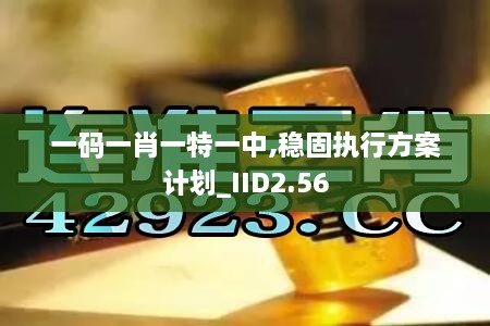 一碼一肖一特一中,穩(wěn)固執(zhí)行方案計劃_IID2.56