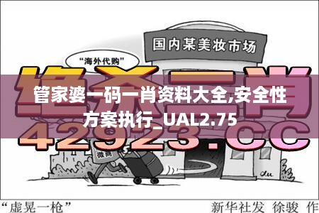 管家婆一碼一肖資料大全,安全性方案執(zhí)行_UAL2.75