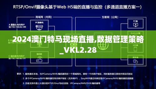 2024澳門特馬現(xiàn)場直播,數(shù)據(jù)管理策略_VKL2.28
