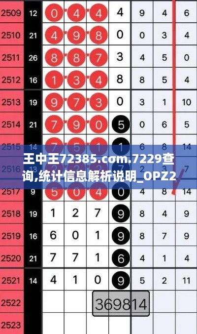 王中王72385.cσm.7229查詢,統(tǒng)計信息解析說明_OPZ2.42