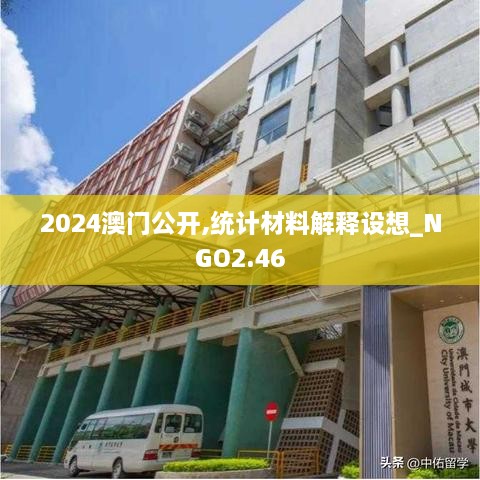 2024澳門公開,統(tǒng)計材料解釋設(shè)想_NGO2.46
