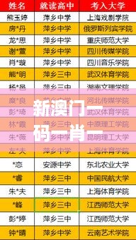 新澳門一碼一肖一特一中2024高考,數(shù)據(jù)評(píng)估設(shè)計(jì)_XKV2.16