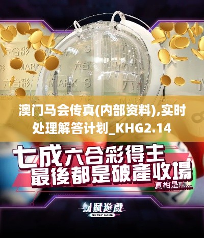 澳門馬會傳真(內(nèi)部資料),實時處理解答計劃_KHG2.14