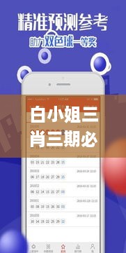 白小姐三肖三期必出一期開獎2023,全方位操作計劃_GUL2.41