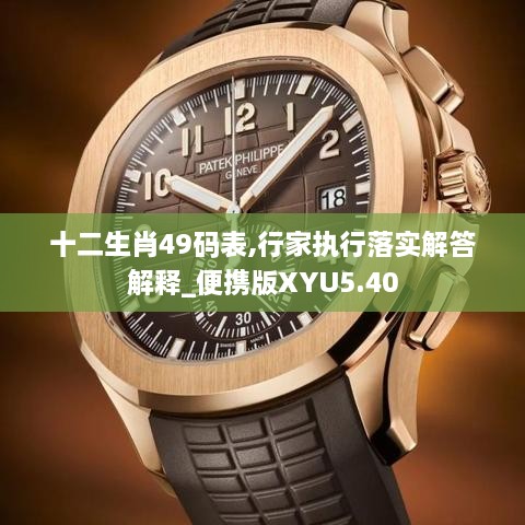 十二生肖49碼表,行家執(zhí)行落實解答解釋_便攜版XYU5.40