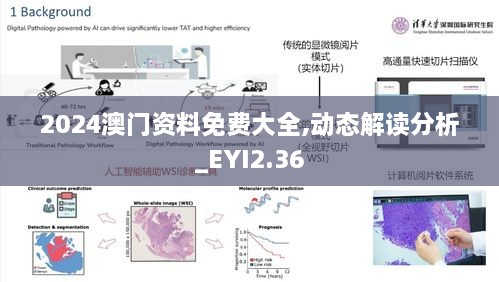 2024澳門資料免費大全,動態(tài)解讀分析_EYI2.36