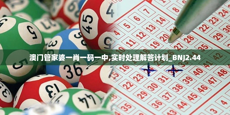 2024年11月 第512頁