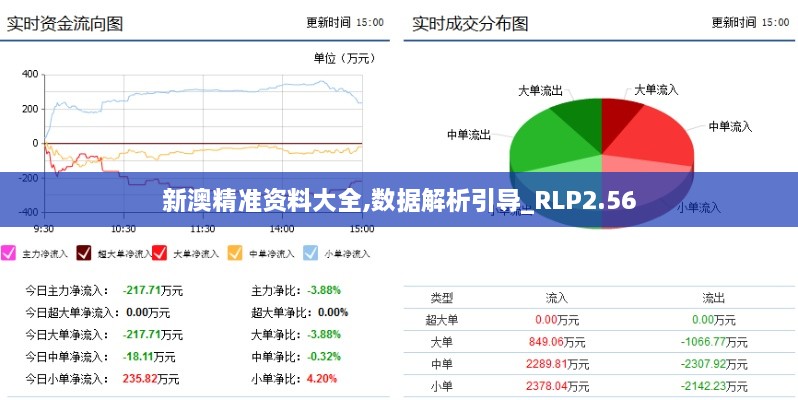 新澳精準(zhǔn)資料大全,數(shù)據(jù)解析引導(dǎo)_RLP2.56