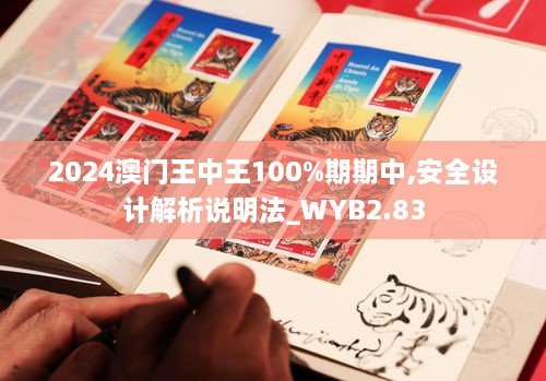 2024澳門王中王100%期期中,安全設計解析說明法_WYB2.83