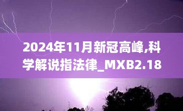 2024年11月 第509頁