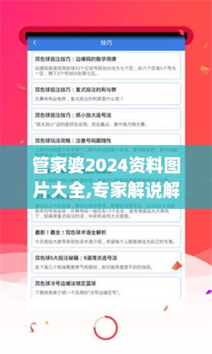 管家婆2024資料圖片大全,專家解說解釋定義_RZN2.77