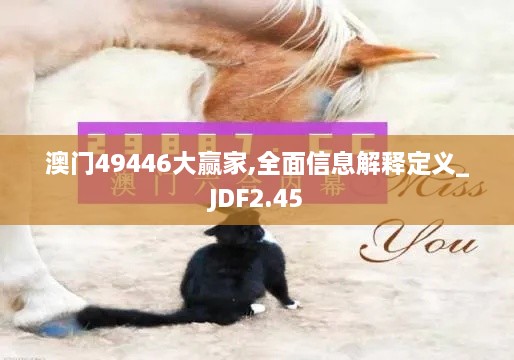 澳門49446大贏家,全面信息解釋定義_JDF2.45