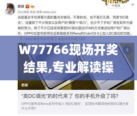 2024年11月 第505頁