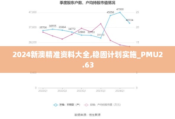 2024新澳精準資料大全,穩(wěn)固計劃實施_PMU2.63