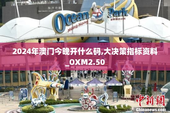 2024年澳門今晚開什么碼,大決策指標資料_OXM2.50