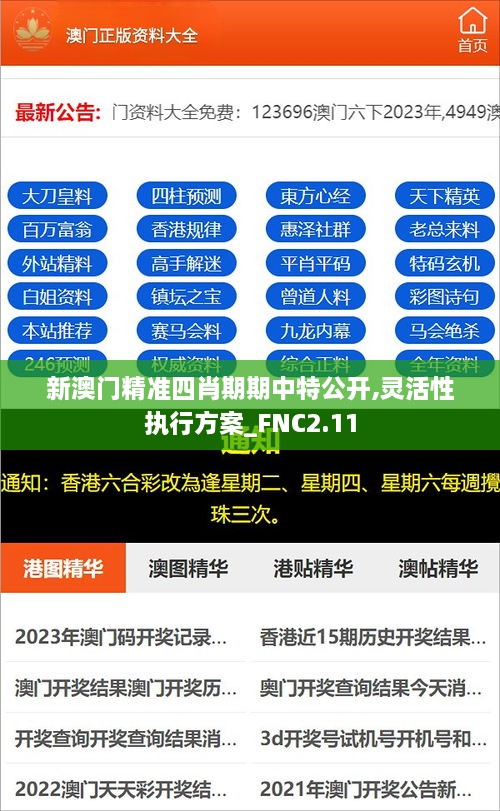 新澳門(mén)精準(zhǔn)四肖期期中特公開(kāi),靈活性執(zhí)行方案_FNC2.11