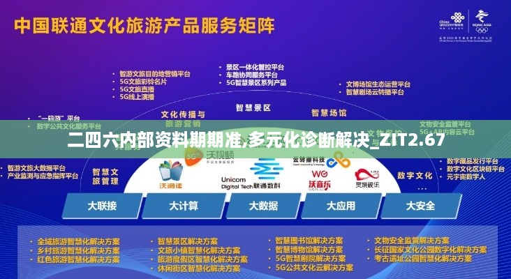 二四六內部資料期期準,多元化診斷解決_ZIT2.67