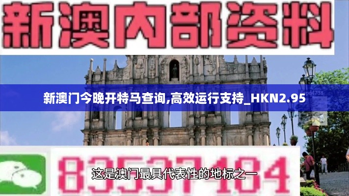 新澳門今晚開(kāi)特馬查詢,高效運(yùn)行支持_HKN2.95