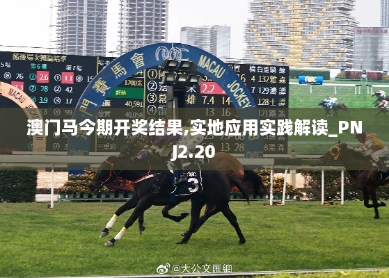 澳門馬今期開獎結(jié)果,實地應(yīng)用實踐解讀_PNJ2.20