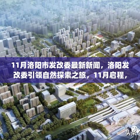 洛陽市發(fā)改委引領(lǐng)自然探索之旅，啟程尋找寧靜與樂趣的十一月新篇章