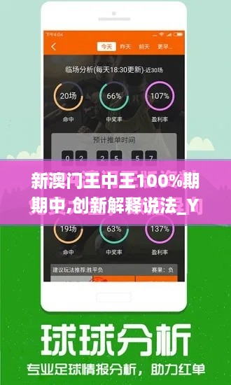 新澳門王中王100%期期中,創(chuàng)新解釋說法_YBM2.5
