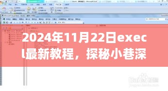 探秘小巷深處的寶藏，特色小店Excel最新教程之旅（2024年11月22日）