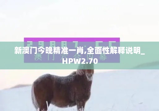 新澳門今晚精準(zhǔn)一肖,全面性解釋說明_HPW2.70