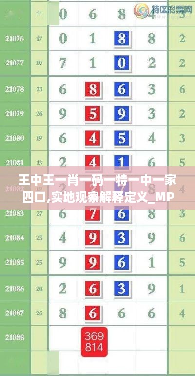 王中王一肖一碼一特一中一家四口,實(shí)地觀察解釋定義_MPM2.28
