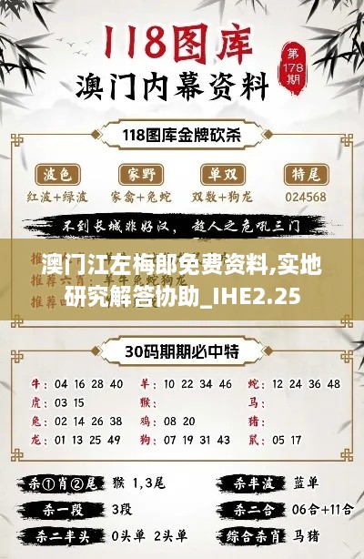 澳門江左梅郎免費(fèi)資料,實(shí)地研究解答協(xié)助_IHE2.25
