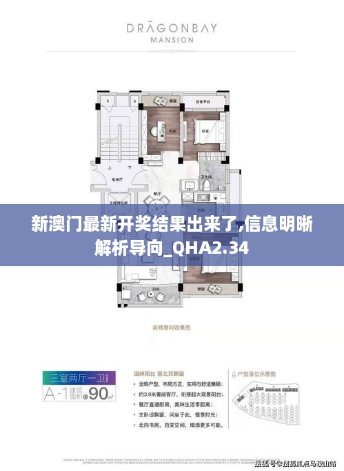 新澳門最新開獎(jiǎng)結(jié)果出來了,信息明晰解析導(dǎo)向_QHA2.34