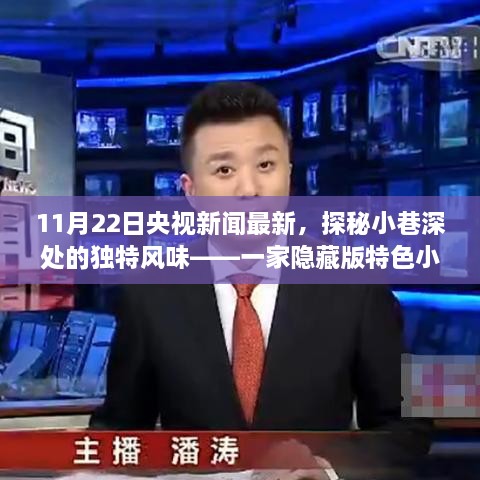 探秘小巷深處的獨特風(fēng)味，揭秘隱藏版特色小店的神秘面紗