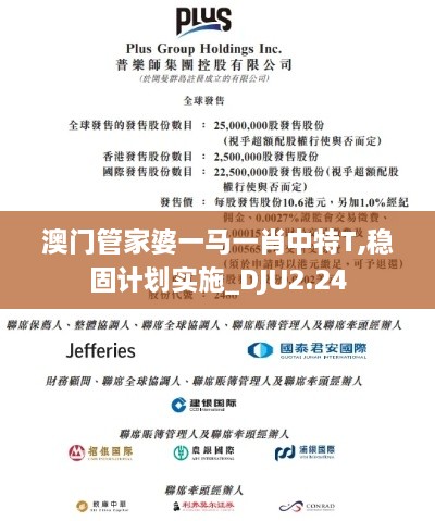 澳門管家婆一馬一肖中特T,穩(wěn)固計劃實施_DJU2.24