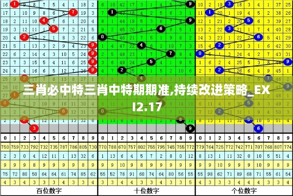 三肖必中特三肖中特期期準(zhǔn),持續(xù)改進(jìn)策略_EXI2.17