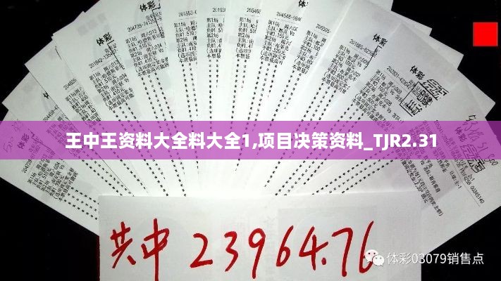 王中王資料大全料大全1,項(xiàng)目決策資料_TJR2.31