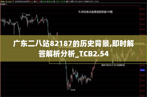 廣東二八站82187的歷史背景,即時(shí)解答解析分析_TCB2.54