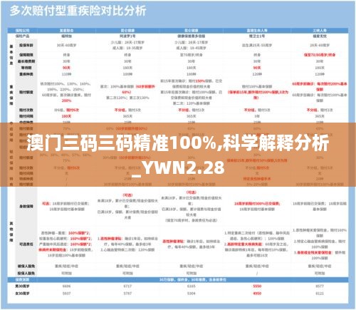 澳門三碼三碼精準(zhǔn)100%,科學(xué)解釋分析_YWN2.28