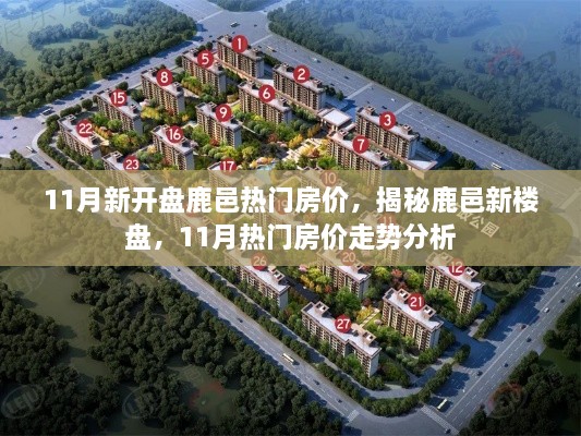 11月新開盤鹿邑熱門房價，揭秘鹿邑新樓盤，11月熱門房價走勢分析