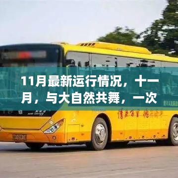 2024年11月 第464頁