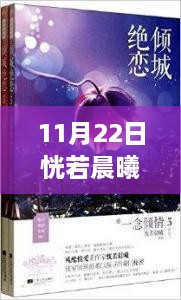 11月22日晨曦之光，最新小說(shuō)測(cè)評(píng)與文字世界的照亮