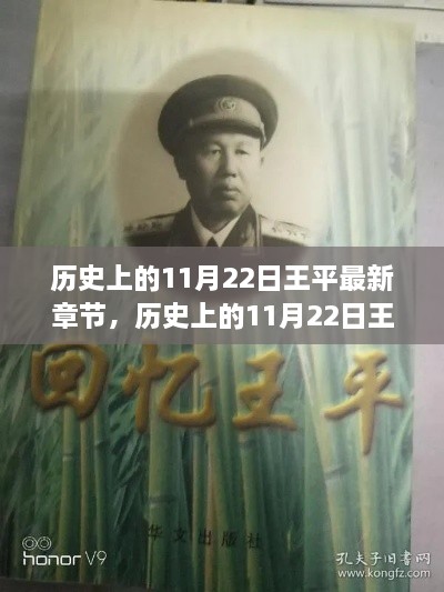 歷史上的11月22日王平最新章節(jié)深度解析與介紹