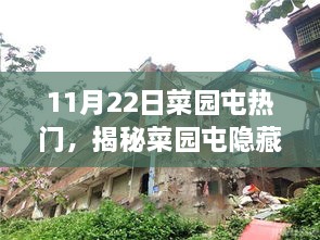 揭秘菜園屯隱藏之星，小巷美食秘境的熱門之旅