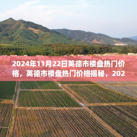 2024年11月22日英德市樓盤熱門價(jià)格回顧與展望，揭秘市場(chǎng)趨勢(shì)