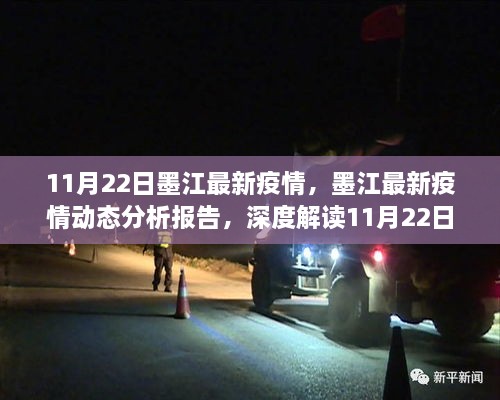 墨江最新疫情動(dòng)態(tài)分析報(bào)告，11月22日數(shù)據(jù)概況、防控進(jìn)展深度解讀